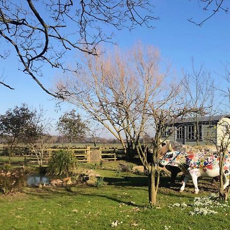The Shepherd'S Hut @ Chichester Cottage 外观 照片