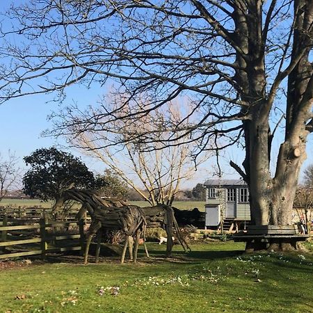 The Shepherd'S Hut @ Chichester Cottage 外观 照片