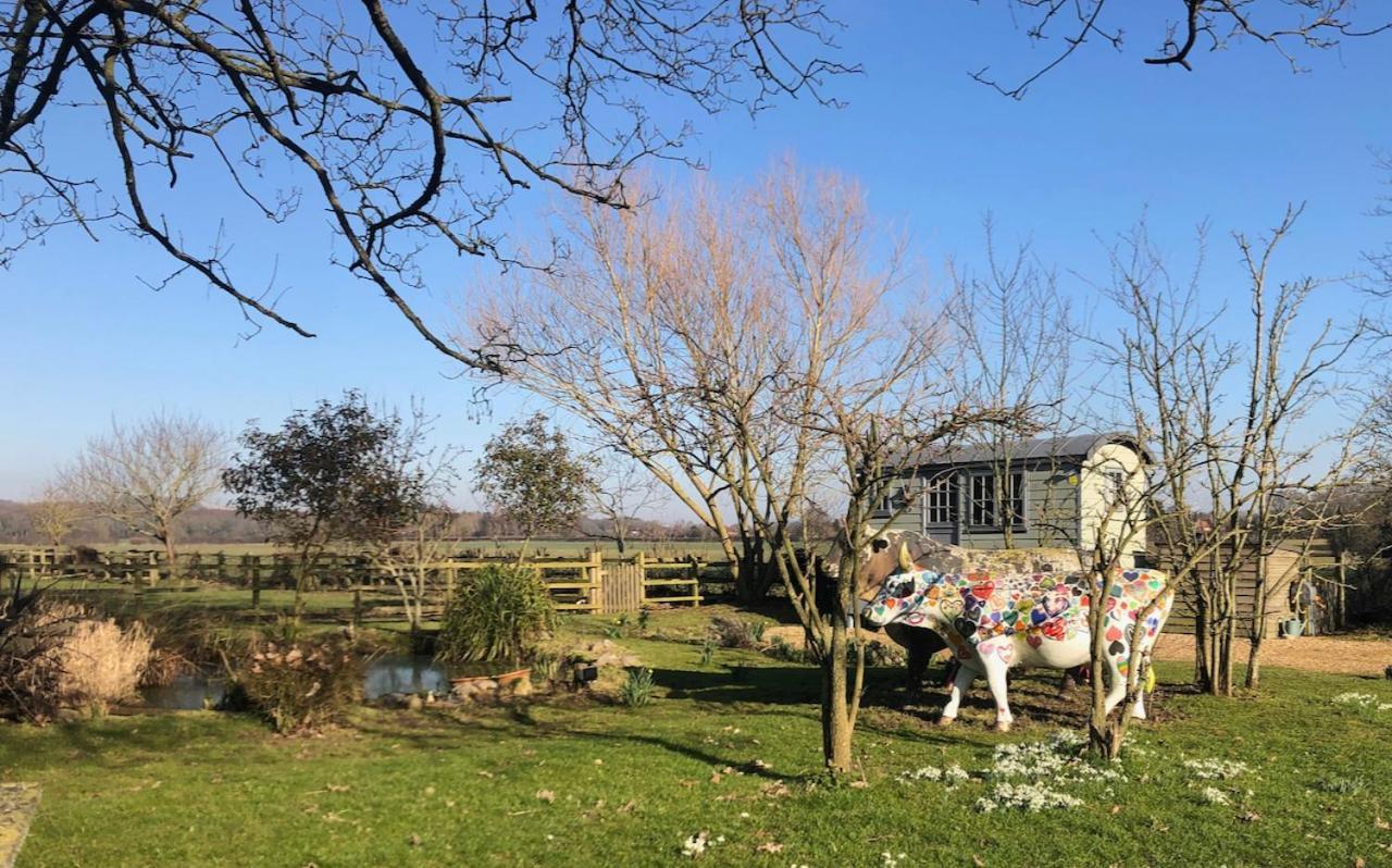 The Shepherd'S Hut @ Chichester Cottage 外观 照片
