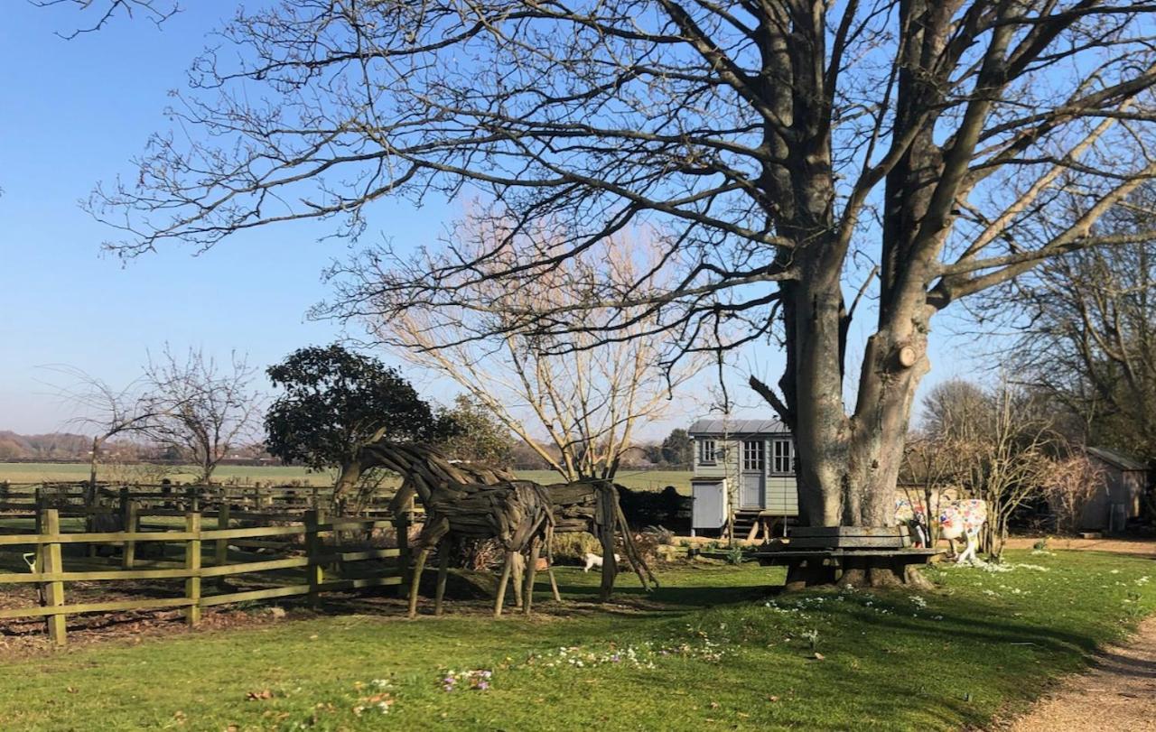 The Shepherd'S Hut @ Chichester Cottage 外观 照片